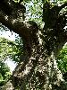 DSC0032_l.JPG