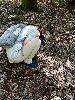 DSC0057_l.JPG
