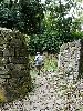 DSC0064_l.JPG