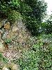 DSC0065_l.JPG