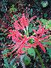 P9232010_l.JPG