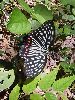 P9232024_l.JPG