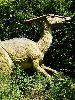DSC0024_l.JPG