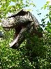 DSC0046_l.JPG