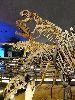 DSC0058_l.JPG
