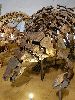 DSC0069_l.JPG