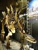 DSC0090_l.JPG