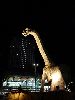 DSC0139_l.JPG