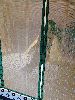 DSC0155_l.JPG