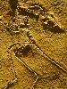 P9272064_l.JPG
