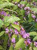 P9282101_l.JPG