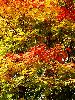 DSC0010_l.JPG
