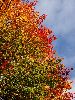 DSC0012_l.JPG