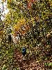 DSC0028_l.JPG