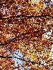 DSC0060_l.JPG