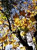 DSC0073_l.JPG