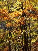 DSC0092_l.JPG