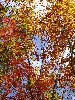 DSC0098_l.JPG