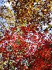DSC0105_l.JPG