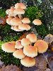 PB032391_l.JPG