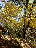 DSC00005_l.JPG