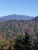 DSC00037_l.JPG