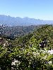 DSC00038_l.JPG