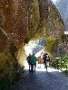 DSC00081_l.JPG