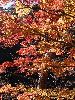 DSC00092_l.JPG