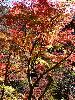 DSC00103_l.JPG