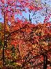 DSC00106_l.JPG