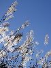 DSC00119_l.JPG