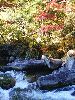 DSC00122_l.JPG