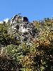 DSC00123_l.JPG