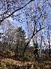 DSC00002_l.JPG