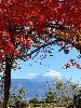 IMG_8489_l.JPG